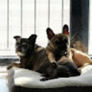 Meet your Posher, Ben